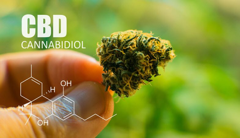 Quels sont les effets du CBD ?