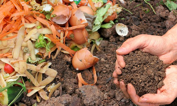 Pourquoi utiliser un compost dans son jardin ?