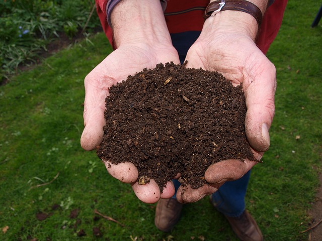 compost jardin