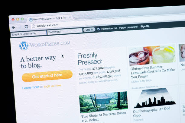 Pourquoi le SEO est-il important sur un site WordPress ?